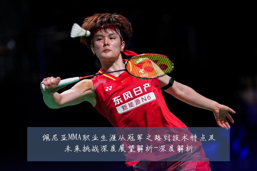 佩尼亚MMA职业生涯从冠军之路到技术特点及未来挑战深度展望解析-深度解析